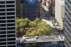 New-York-255