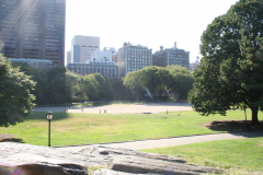 ny08-066