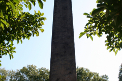 ny08-089