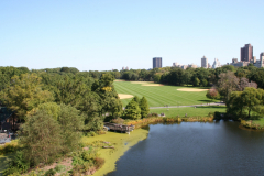 ny08-109