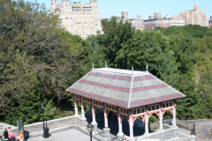 ny08-113