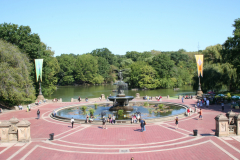 ny08-118