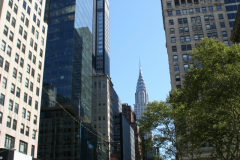 ny08-145