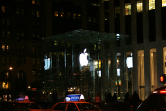 ny08-338