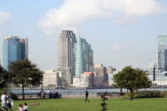 ny08-343