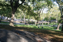 ny08-359