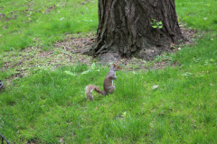 IMG_1461